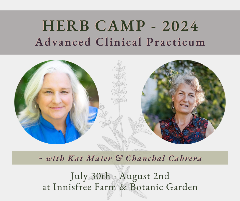 2024 Herb Camp - Website event photo